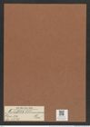 Auliscus normanianus Grev. (de-Toni-Nr.: Genus 171, Species 4321) Zeichnungen Sammlung Grunow Mappe 04290 (Herbarium_W_Grunow_drawings_Folder_04290)